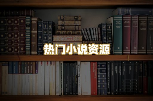 热门小说资源
